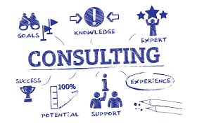 Consulting services